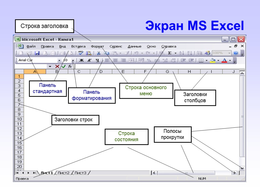 Экран MS Excel